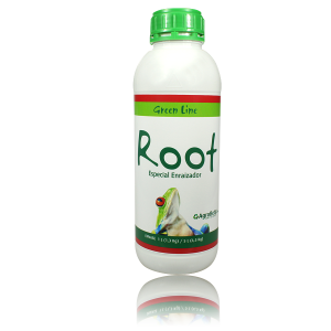 green root1l